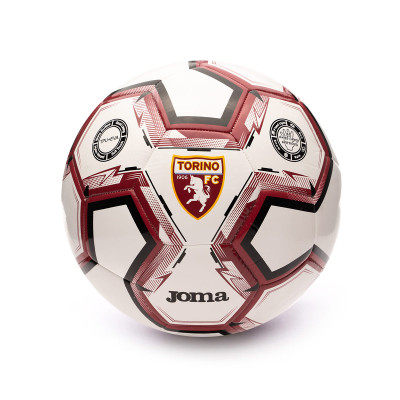Torino 2023-2024 Ball