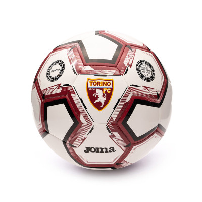 Ballon Torino 2023-2024