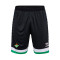 Kratke hlače Hummel Real Betis Training 2023-2024