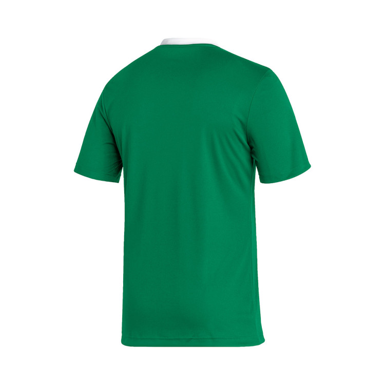camiseta-adidas-entrada-22-coya-de-vigo-cd-green-1