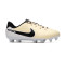 Chaussure de foot Nike Enfants Tiempo Legend 10 Academy FG/MG