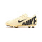 Buty piłkarskie Nike Vapor 15 Club FG/MG Niño