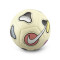 Ballon Nike Futsal Maestro