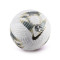 Pallone Nike Premier League Stagione 2023-2024