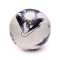 Balón Nike Pitch Premier League 2023-2024