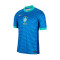 Camiseta Nike Brasil Segunda Equipación Copa América 2024