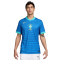 Camiseta Nike Brasil Segunda Equipación Copa América 2024