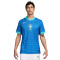 Nike Brazil America Cup 2024 Away Jersey