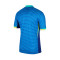 Nike Brazil America Cup 2024 Away Jersey