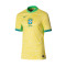 Dres Nike Brasil Primera Equipación Copa América 2024