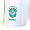 Nike Brazil Away Kit Copa América 2024 Shorts