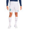 Nike Brazil Copa América 2024 Away Kit Shorts