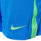 Short Nike Brasil Kit Domicile Coupe de l'America 2024
