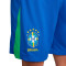 Nike Brasil Home Kit America's Cup 2024 Shorts