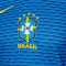 Nike Brasil Segunda Equipación Authentic Copa América 2024 Pullover