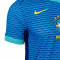 Camisola Nike Brasil Segundo Equipamento Authentic Copa América 2024