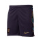 Nike England Away Kit Euro 2024 Shorts