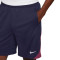Nike England Training Eur 2024 Shorts