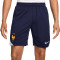 Nike France Euro 2024 Training Shorts
