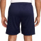 Nike France Euro 2024 Training Shorts