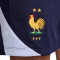 Nike France Euro 2024 Training Shorts