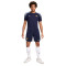 Koszulka Nike Francia Training Eurocopa 2024