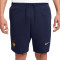 Nike France Fanswear Euro 2024 Shorts