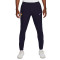 Nike France Euro 2024 Training Trousers
