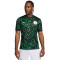 Nike Nigeria Segunda Equipación Juegos Olímpicos 2024 Jersey