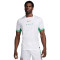 Nike Nigeria Home Kit Olympics 2024 Jersey