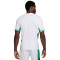 Maillot Nike Nigéria Maillot Domicile