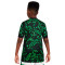 Maillot Nike Enfant Nigeria Maillot Extérieur
