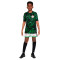 Maillot Nike Enfant Nigeria Maillot Extérieur