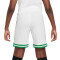 Nike Kids Olympic Games Nigeria 2024 Home Kit Shorts
