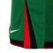 Nike Portugal Primera Equipación Eurocopa 2024 Shorts