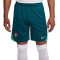 Nike Portugal Training Euro 2024 Shorts