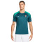 Maglia Nike Portogallo Training Euro 2024