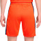 Nike Holanda Primera Equipación Eurocopa 2024 Shorts