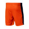 Nike Netherlands Home Euro 2024 Shorts