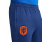 Nike Holanda Training Eurocopa 2024 Lange broek