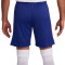 Nike Holanda Training Eurocopa 2024 Shorts