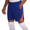 Nike Holanda Training Eurocopa 2024 Shorts