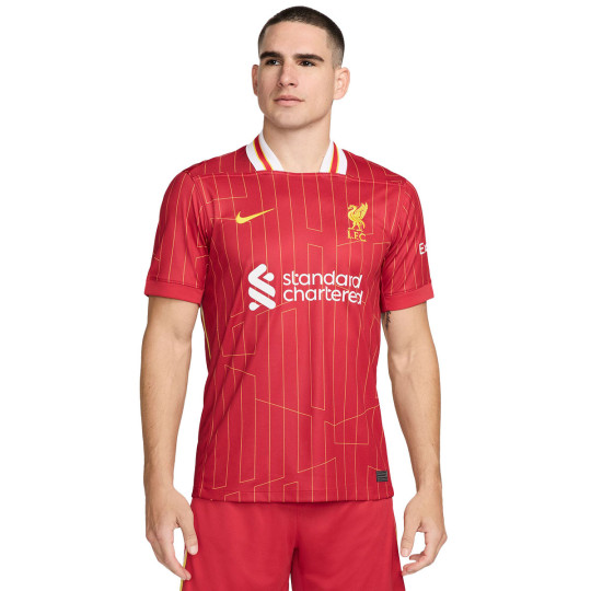 Jersey Nike Liverpool FC 2024-2025 Home Gym Red-White-Chrome