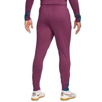 PSG Training 2024-2025 Trousers