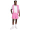 Nike Club Flow Shorts