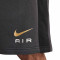 Pantalón corto Nike Swoosh Air