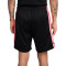 Nike Swoosh Air Shorts