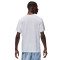 Camiseta Jordan Dri-Fit Sport