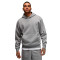 Jordan Con Capucha Essentials Fleece Sweatshirt