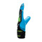 Reusch Attrakt Aqua Evolution Gloves